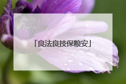 良法良技保粮安