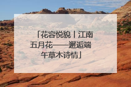 花容悦貌丨江南五月花——邂逅端午草木诗情