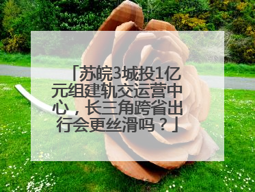苏皖3城投1亿元组建轨交运营中心，长三角跨省出行会更丝滑吗？