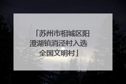 苏州市相城区阳澄湖镇消泾村入选全国文明村
