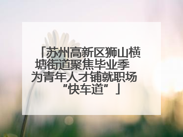 苏州高新区狮山横塘街道聚焦毕业季 为青年人才铺就职场“快车道”