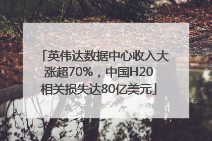英伟达数据中心收入大涨超70%，中国H20相关损失达80亿美元