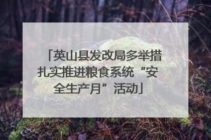 英山县发改局多举措扎实推进粮食系统“安全生产月”活动