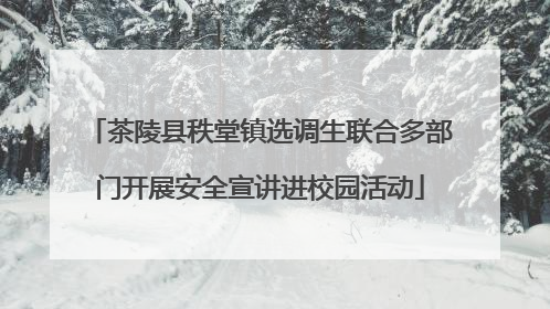 茶陵县秩堂镇选调生联合多部门开展安全宣讲进校园活动