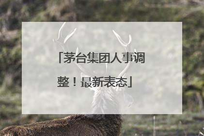 茅台集团人事调整！最新表态