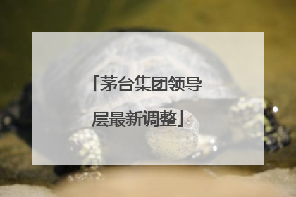 茅台集团领导层最新调整