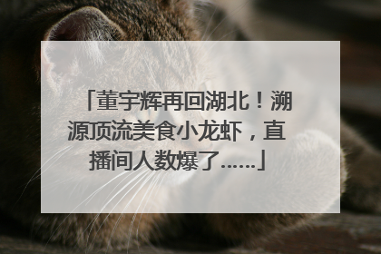 董宇辉再回湖北！溯源顶流美食小龙虾，直播间人数爆了……
