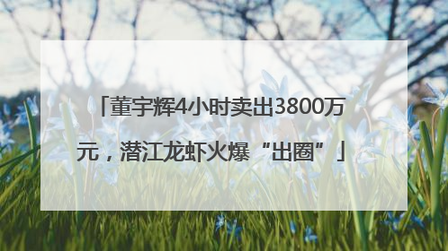 董宇辉4小时卖出3800万元，潜江龙虾火爆“出圈”