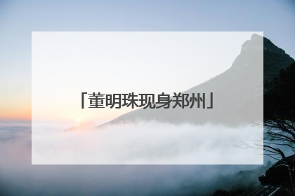 董明珠现身郑州