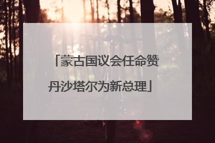 蒙古国议会任命赞丹沙塔尔为新总理