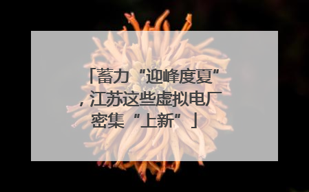 蓄力“迎峰度夏”，江苏这些虚拟电厂密集“上新”
