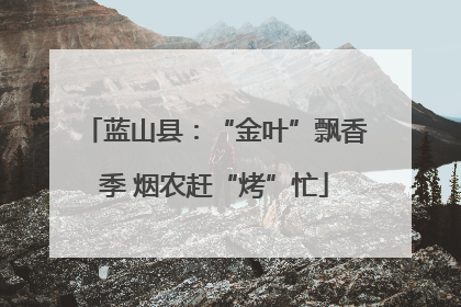 蓝山县：“金叶”飘香季 烟农赶“烤”忙