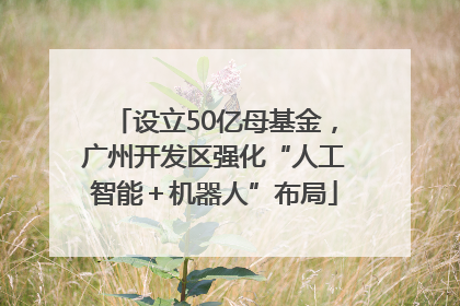 设立50亿母基金，广州开发区强化“人工智能＋机器人”布局