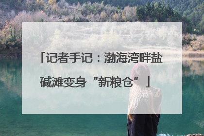 记者手记：渤海湾畔盐碱滩变身“新粮仓”