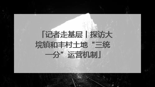 记者走基层丨探访大垸镇和丰村土地“三统一分”运营机制