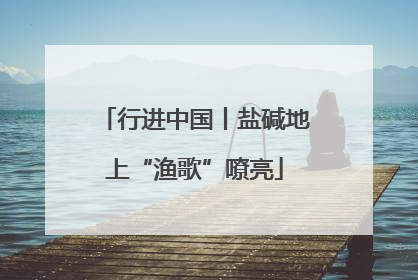 行进中国丨盐碱地上“渔歌”嘹亮