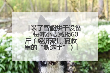 装了智能烘干设备，每吨小麦减损60斤（经济聚焦·夏收里的“新选手”）