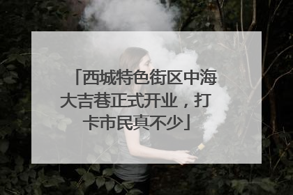西城特色街区中海大吉巷正式开业，打卡市民真不少