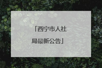 西宁市人社局最新公告