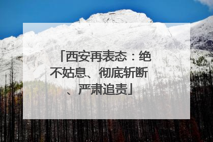 西安再表态：绝不姑息、彻底斩断、严肃追责