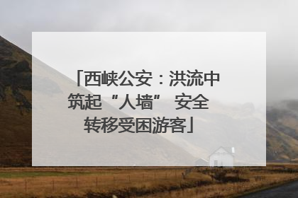 西峡公安：洪流中筑起“人墙” 安全转移受困游客