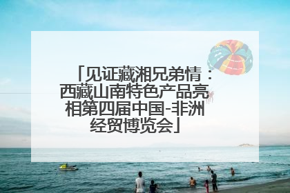 见证藏湘兄弟情：西藏山南特色产品亮相第四届中国-非洲经贸博览会