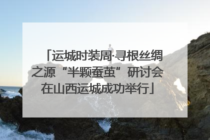 运城时装周·寻根丝绸之源“半颗蚕茧”研讨会在山西运城成功举行