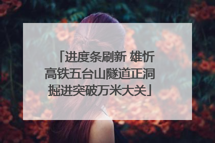 进度条刷新 雄忻高铁五台山隧道正洞掘进突破万米大关