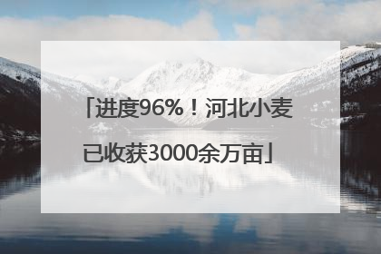 进度96%！河北小麦已收获3000余万亩