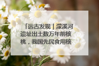 远古发现｜濛溪河遗址出土数万年前核桃，我国先民食用核桃历史大幅提前
