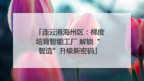连云港海州区：梯度培育智能工厂 解锁“智造”升级新密码