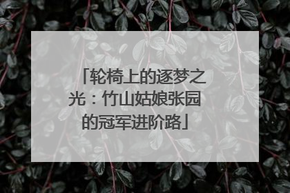 轮椅上的逐梦之光：竹山姑娘张园的冠军进阶路