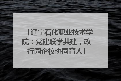 辽宁石化职业技术学院：党建联学共建，政行园企校协同育人