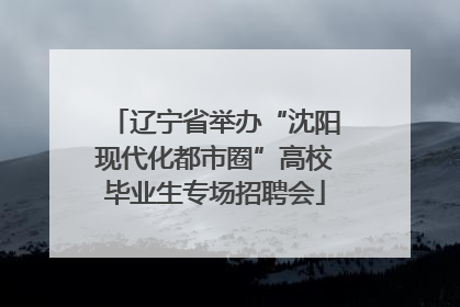 辽宁省举办“沈阳现代化都市圈”高校毕业生专场招聘会