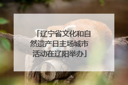 辽宁省文化和自然遗产日主场城市活动在辽阳举办
