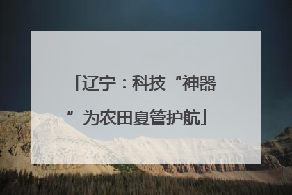 辽宁：科技“神器”为农田夏管护航