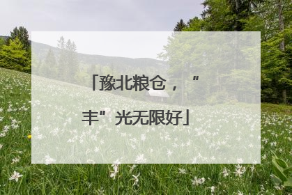 豫北粮仓，“丰”光无限好