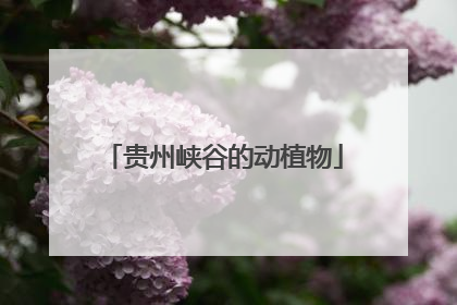 贵州峡谷的动植物