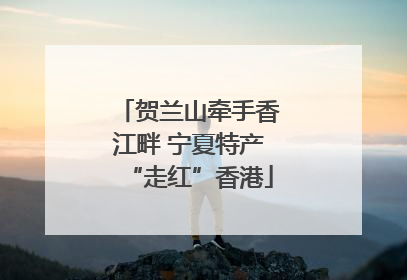 贺兰山牵手香江畔 宁夏特产“走红”香港