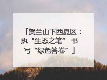 贺兰山下西夏区：执“生态之笔” 书写“绿色答卷”