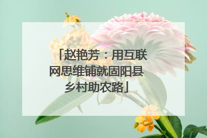 赵艳芳：用互联网思维铺就固阳县乡村助农路