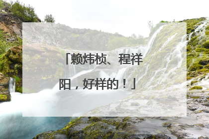 赖炜桢、程祥阳，好样的！