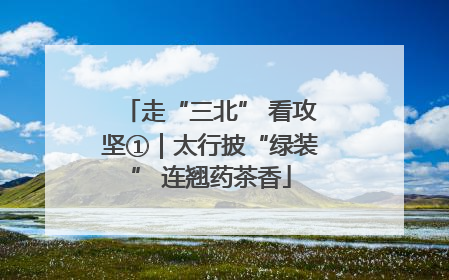 走“三北” 看攻坚①｜太行披“绿装” 连翘药茶香