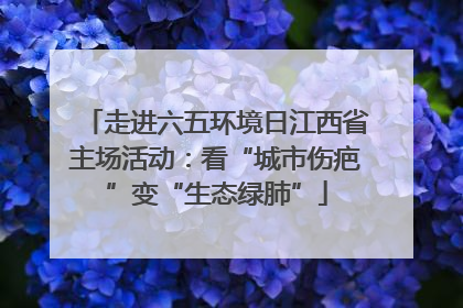 走进六五环境日江西省主场活动：看“城市伤疤”变“生态绿肺”