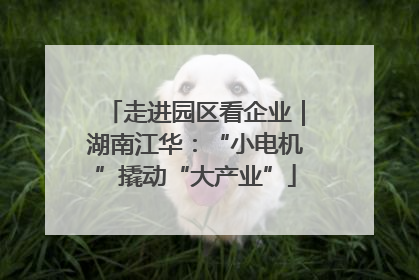 走进园区看企业｜湖南江华：“小电机”撬动“大产业”