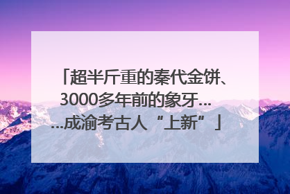 超半斤重的秦代金饼、3000多年前的象牙……成渝考古人“上新”