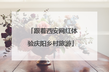 跟着西安网红体验庆阳乡村旅游