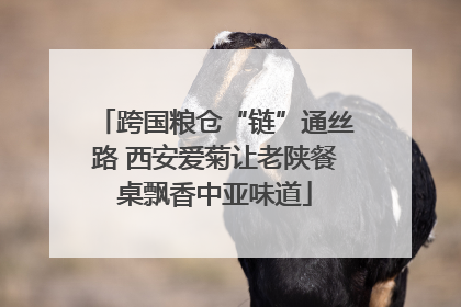 跨国粮仓“链”通丝路 西安爱菊让老陕餐桌飘香中亚味道