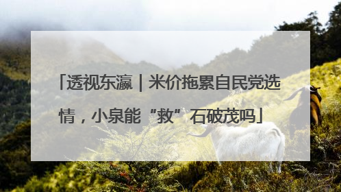 透视东瀛｜米价拖累自民党选情，小泉能“救”石破茂吗