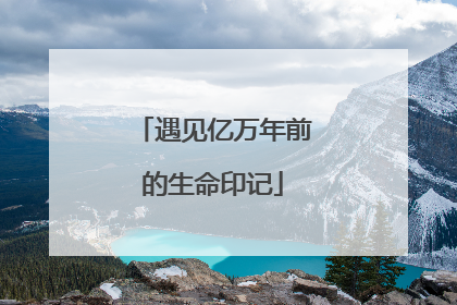 遇见亿万年前的生命印记